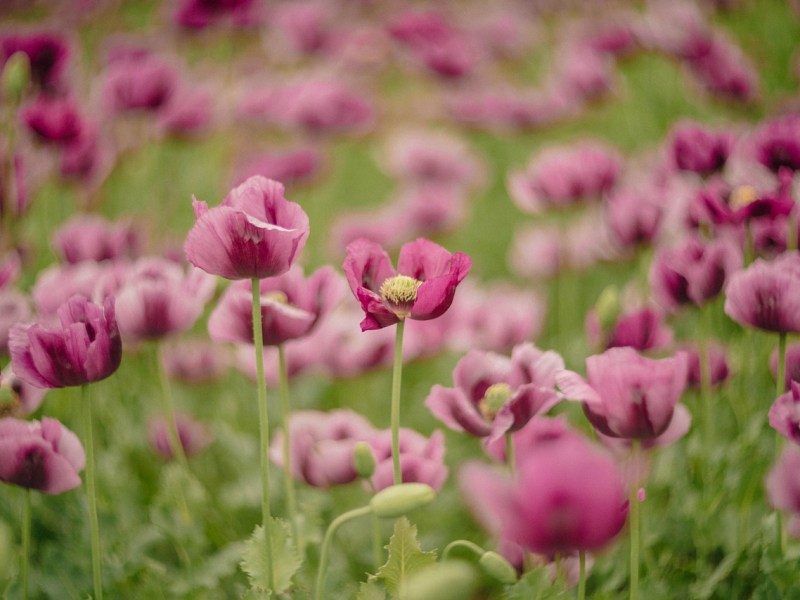 TODO VA A ESTAR&nbsp;BIEN